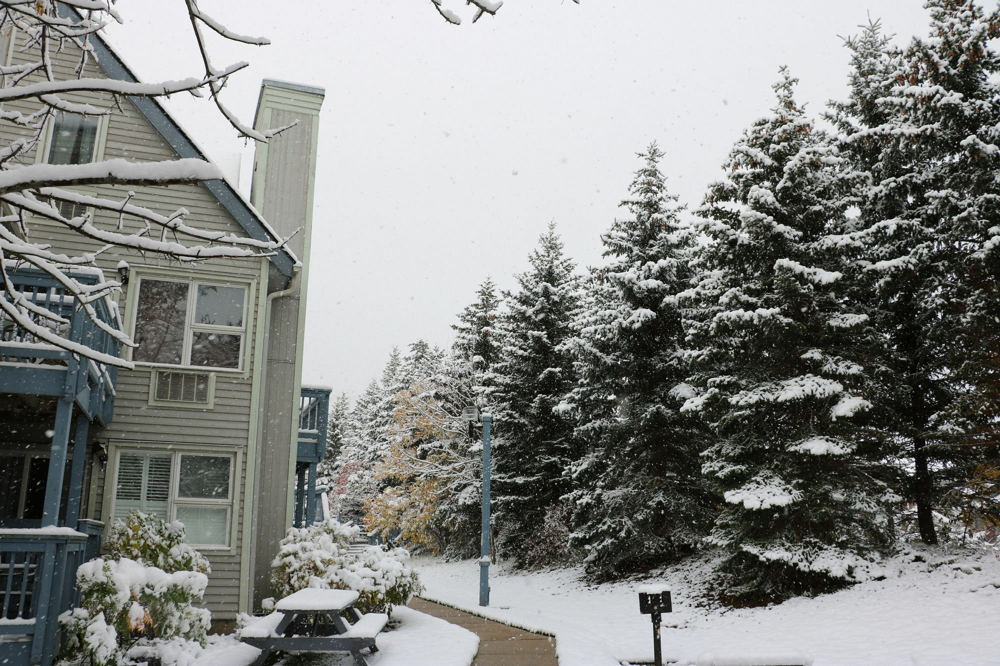 Blue Mountain Apartment At North Creek Resort Blue Mountains Exterior photo